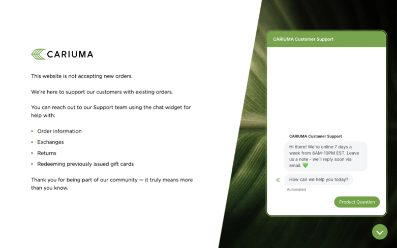 Cariuma page where the agent's errand stalled — the last screen before it stopped