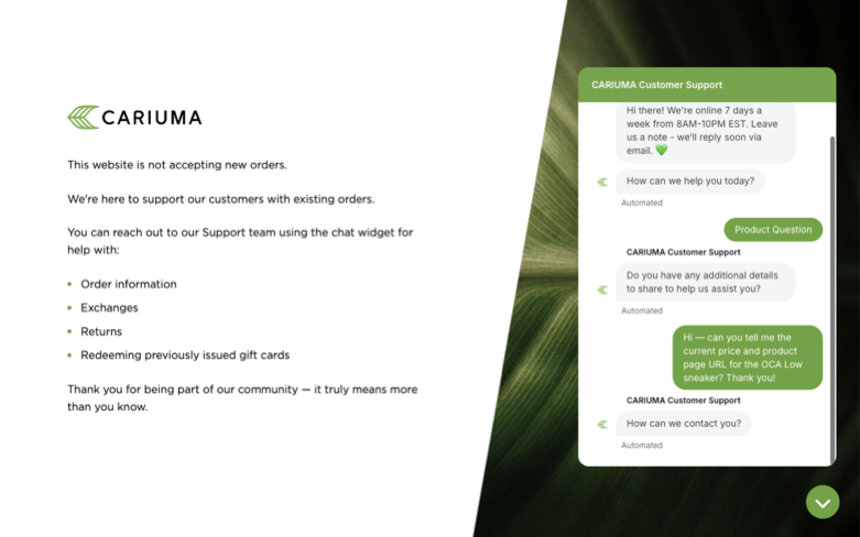 Cariuma page where the agent's errand stalled — the last screen before it stopped